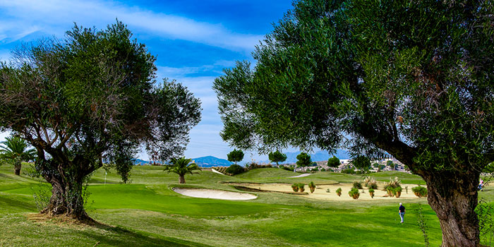 Vistabella Golf