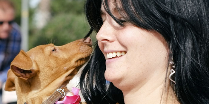 San Fulgencio-La Marina