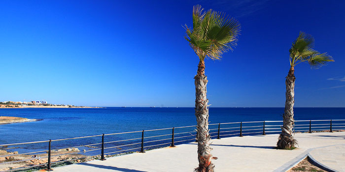 Playa Flamenca
