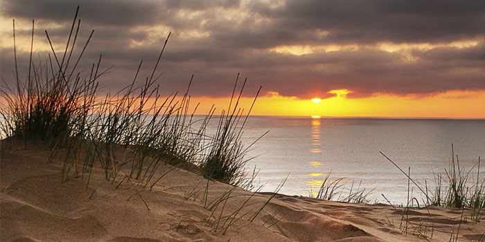 Arenales del Sol