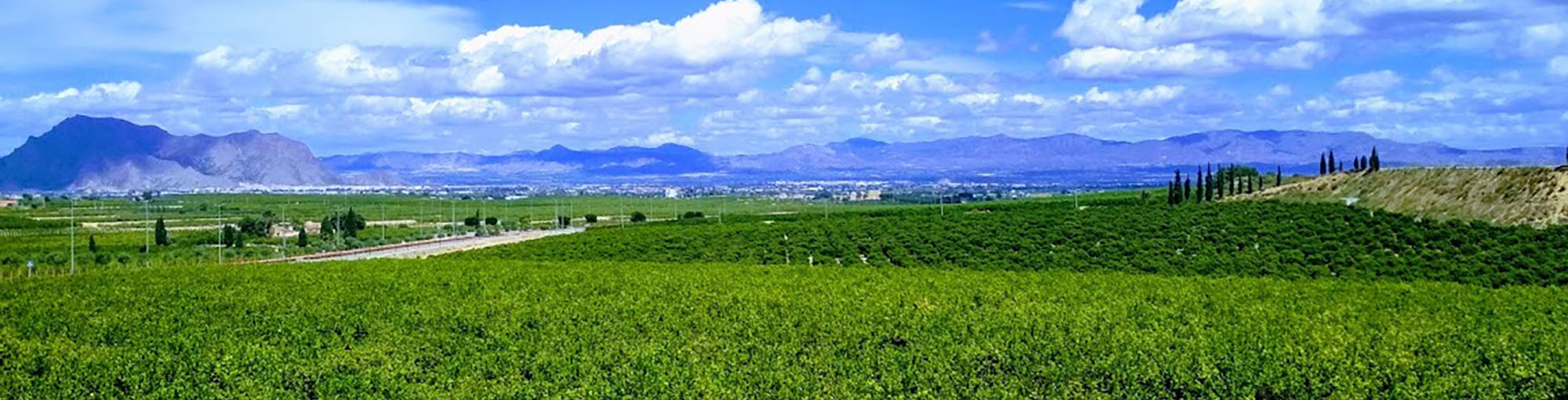 Vega Baja Inland