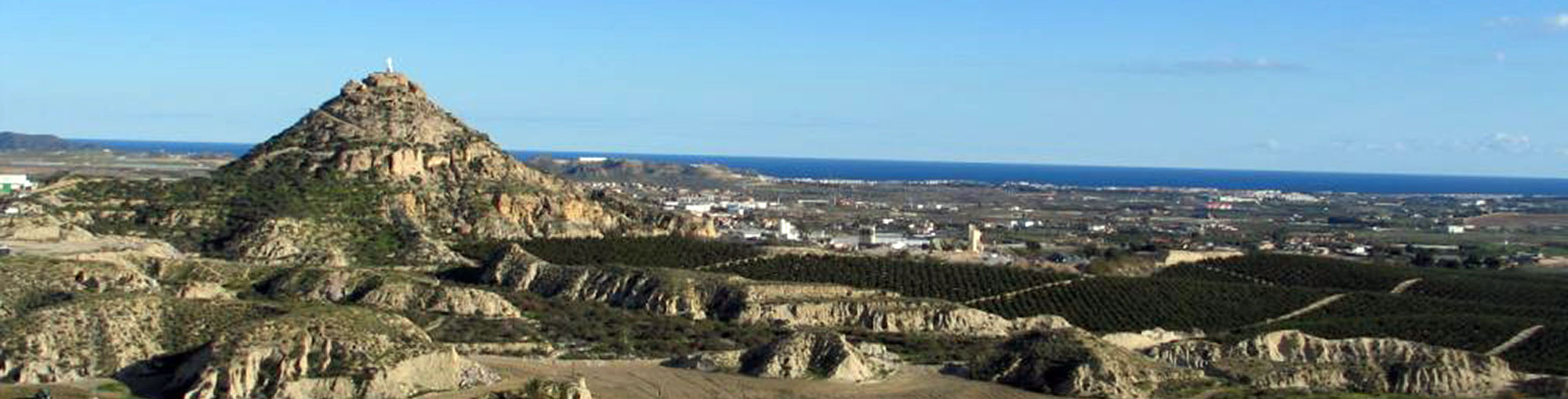 Vera