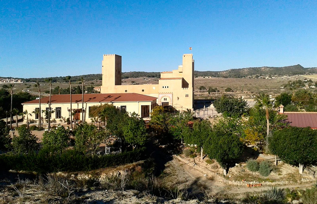 Photo 16